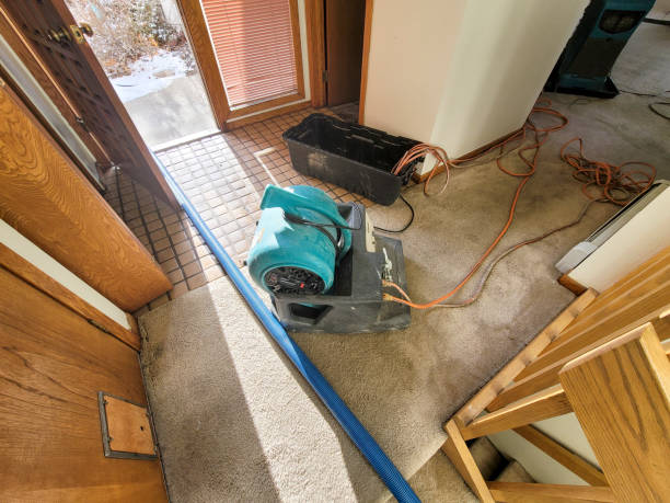 Best Local water damage restoration  in Bettendorf, IA