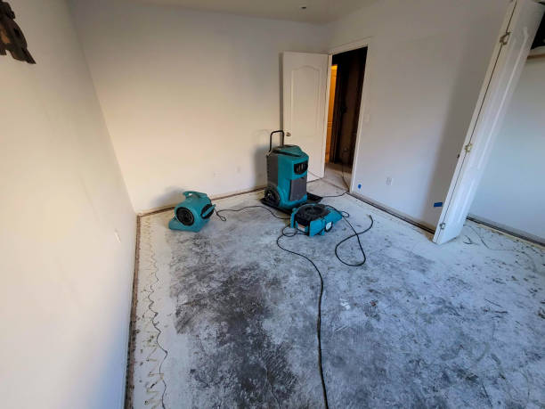 Best Water damage restoration near me  in Bettendorf, IA