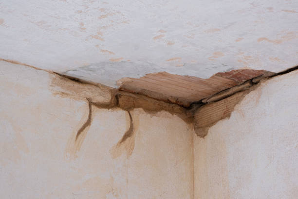 Best Fire Damage Restoration  in Bettendorf, IA