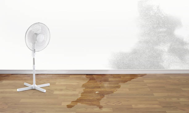 Best Water damage cleanup near me  in Bettendorf, IA