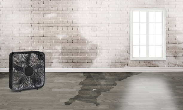 Best Fire Damage Restoration  in Bettendorf, IA