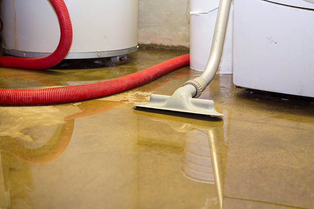 Best Flood restoration services  in Bettendorf, IA