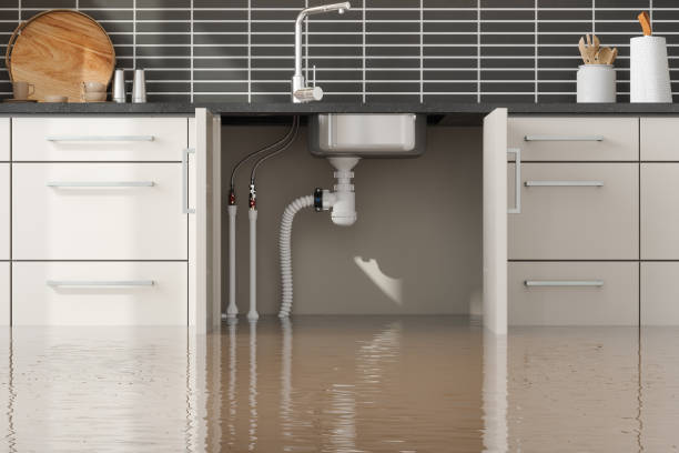 Best Ceiling water damage repair  in Bettendorf, IA