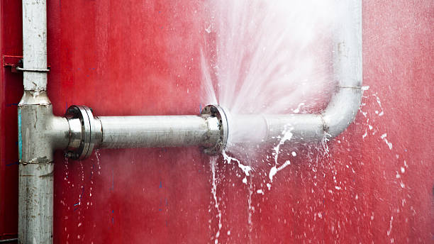 Best Mold removal after water damage  in Bettendorf, IA