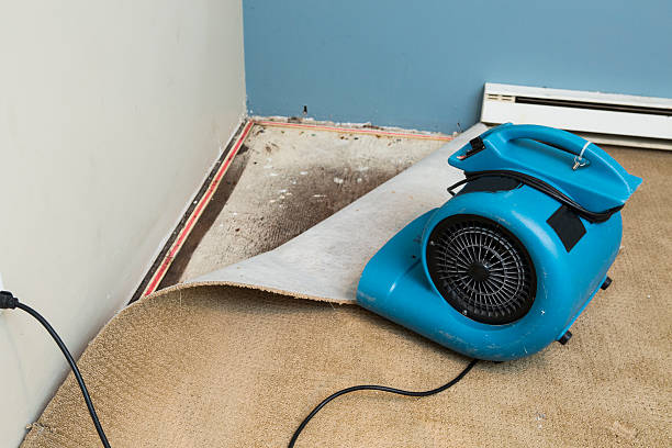 Best Flooded house restoration  in Bettendorf, IA