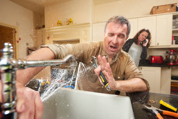 Best Water damage mitigation services  in Bettendorf, IA